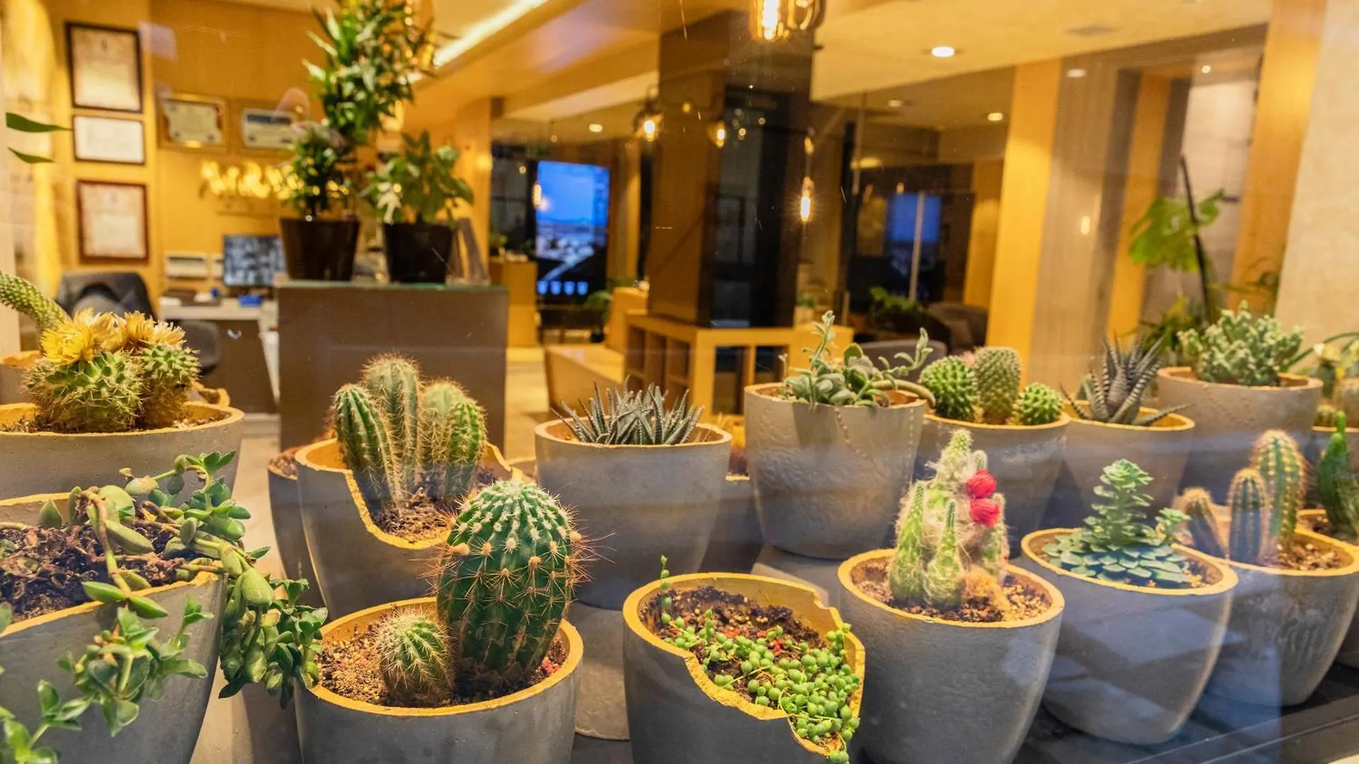 Ayramin Deluxe Hotel Taksim  Istanbul